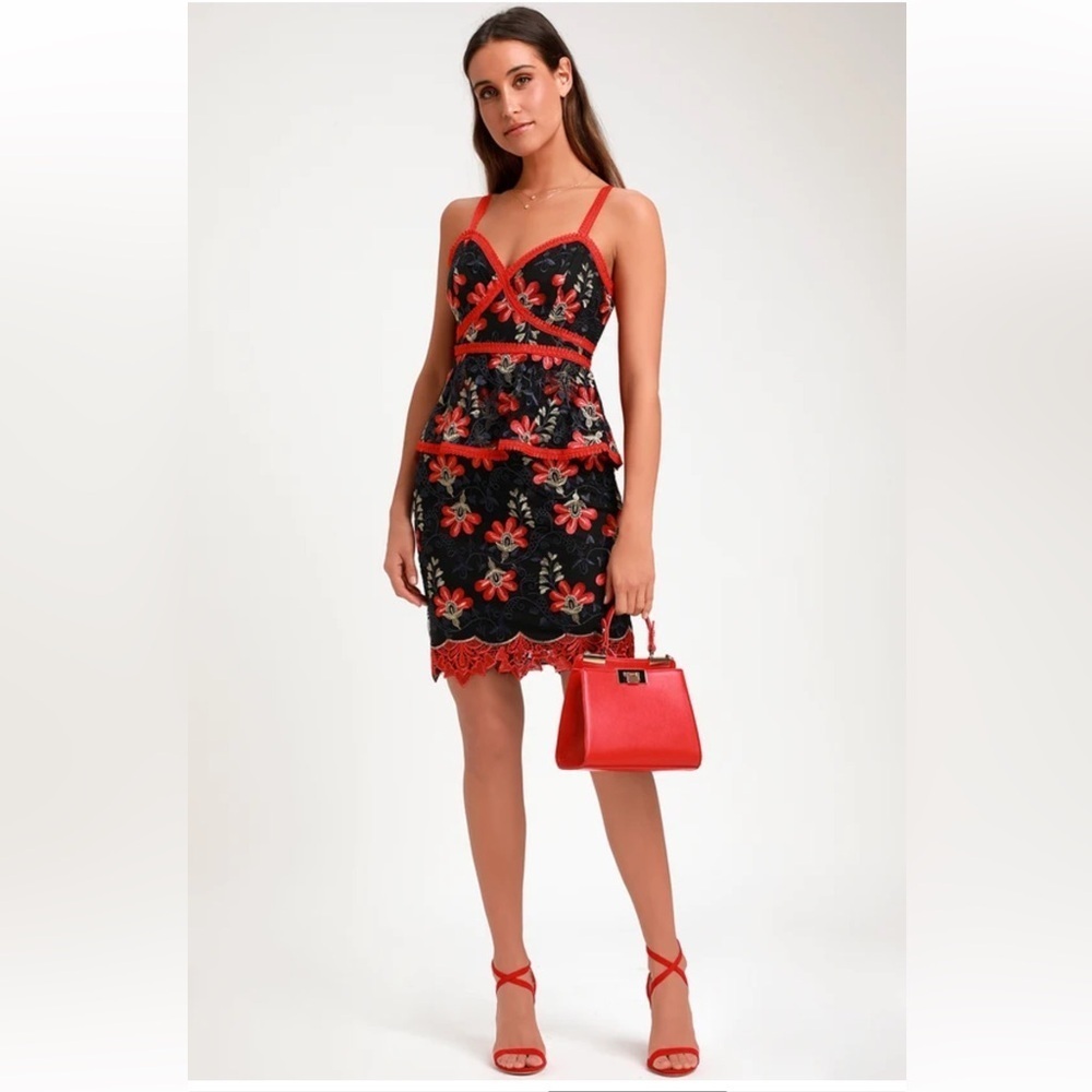 NWT - Lulu’s Karina Embroidered Floral Peplum Dress